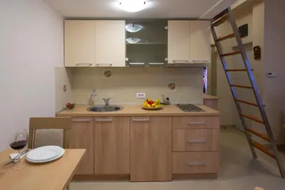 a kitchen with a sink and a ladder at Apartments Jevtic in Belgrade