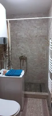 a bathroom with a shower with a toilet and a sink at Botanic Garden 1 in Belgrade