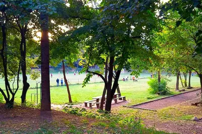 a park with trees and benches in the grass at ParkWest Arena Belgrade Lux Apartment in Belgrade