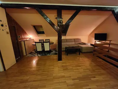 a living room with a couch and a tree in it at Earth & Sky apartment in Sajmište