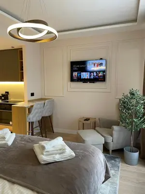 a living room with a bed and a tv on the wall at BW Elena in Belgrade