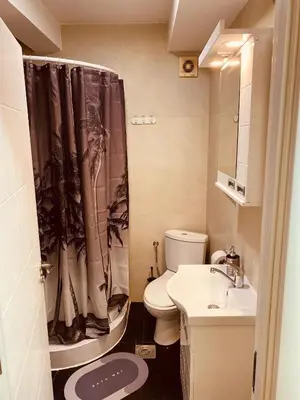 a bathroom with a toilet and a shower curtain at Aleksa in Novi Grad