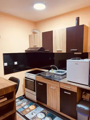 a kitchen with a sink and a stove top oven at Aleksa in Novi Grad