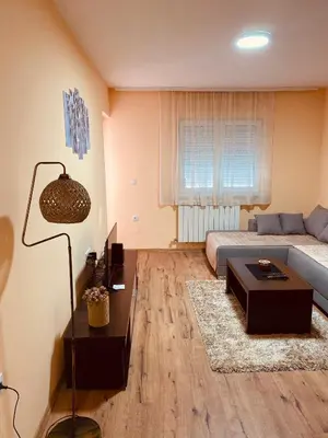 a living room with a couch and a table at Aleksa in Novi Grad