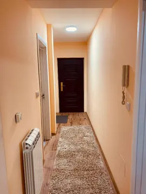 a hallway with a black door and a rug at Aleksa in Novi Grad