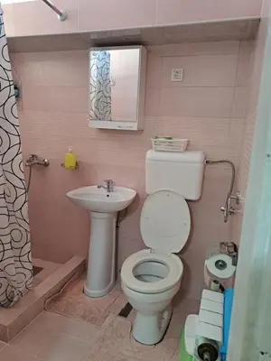 a small bathroom with a toilet and a sink at Apartment Gajic in Belgrade