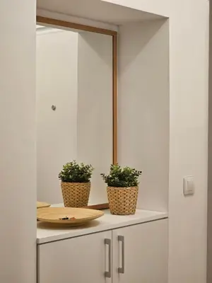 two plants sitting on top of a cabinet with a mirror at Apartment Olga in Vračar (historical)