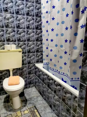 a bathroom with a toilet and a shower curtain at Apartman Mirka 1 in Karaburma
