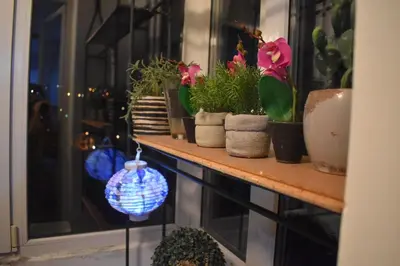 a shelf with potted plants and a ornament on it at Apartman 23 in Kanarevo Brdo