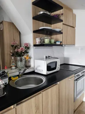 a kitchen with a sink and a microwave on a counter at Le Petit Studio in Kanarevo Brdo