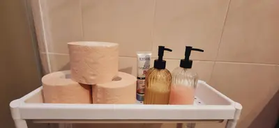 a shelf with toilet paper and two wine bottles at Bulevar Plus in Belgrade