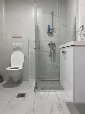 a white bathroom with a shower and a toilet at Apartman Alexandra in Ruma
