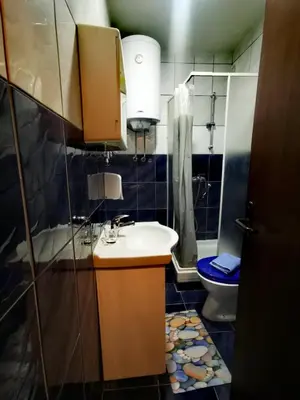 a bathroom with a sink and a toilet at Apartman Mirka 2 in Karaburma