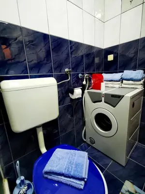 a bathroom with a toilet and a washing machine at Apartman Mirka 2 in Karaburma