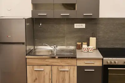 a kitchen with a sink and a stainless steel refrigerator at Golden Velvet apartment Belgrade in Belgrade