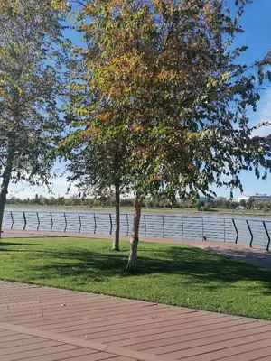 two trees in a park next to a body of water at Belgrade Waterfront Cozy Symphony 1 in Sajmište