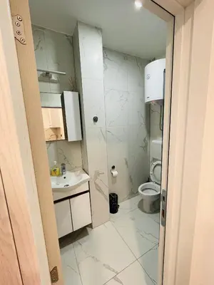 a small bathroom with a toilet and a sink at Luxury Centar 2 in Arandjelovac