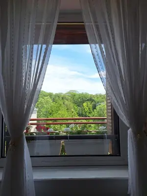 a window with white curtains looking out at a garden at RIVIJERA GREEN in Belgrade
