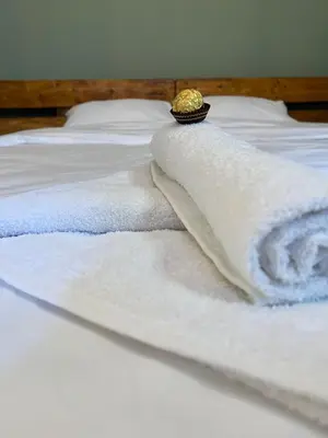 a white bed with towels on top of it at Under the Pine in Belgrade