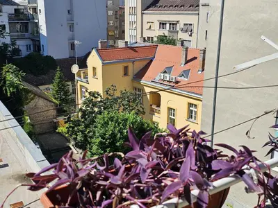 a plant in front of a yellow building at Apartman Didi in Belgrade