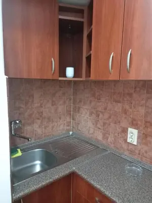a kitchen with a sink and wooden cabinets at TITO in Belgrade