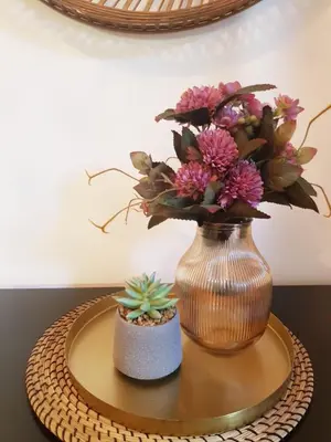a vase with flowers and a cactus on a table at Beogradjanka CITY CENTAR cozy apartment in Belgrade