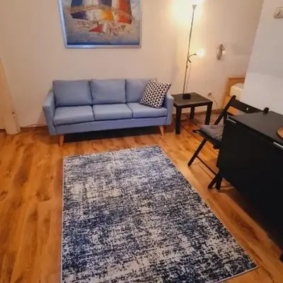Beogradjanka CITY CENTAR cozy apartment