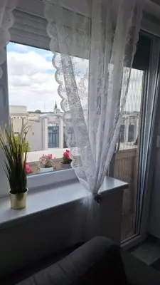 a window with a white curtain on a window sill at Apartman u Zemunu in Zemun