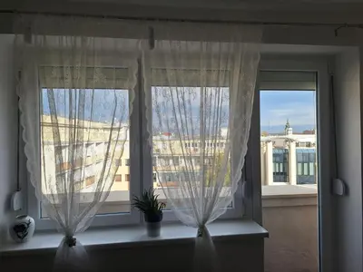 a window with curtains and a plant in a window sill at Apartman u Zemunu in Zemun