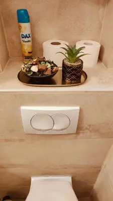 a shelf above a toilet with a plate and a plant at Top Republic in Belgrade