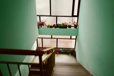 a stairway with potted plants and a window at Apartment Norman Bates in Belgrade