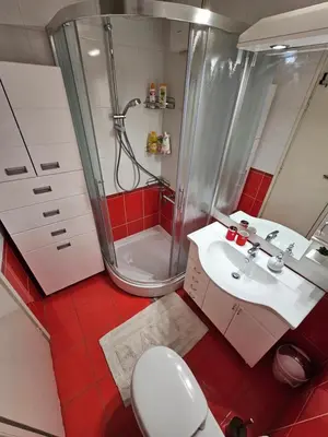 a bathroom with a shower and a sink and a toilet at Slavija Apartment in Belgrade