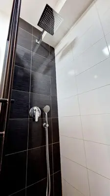 a shower with a shower head in a bathroom at Apartman Laki in Tošin Bunar