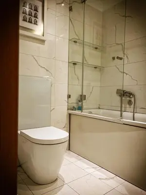 a bathroom with a shower and a toilet and a tub at Nevski Apartment in Belgrade