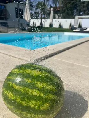 a watermelon sitting on the ground next to a swimming pool at The Crown Pool Villa in Belgrade
