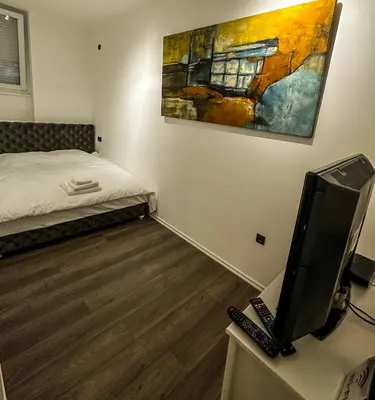a bedroom with a bed and a tv and a painting at The Šljivka in Belgrade