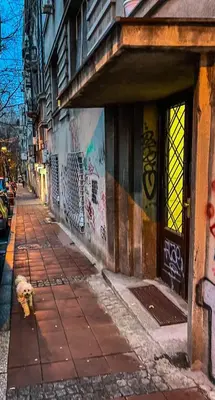 a street with graffiti on the side of a building at The Šljivka in Belgrade