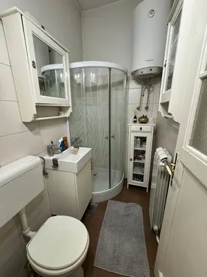 a bathroom with a shower and a toilet and a sink at Palma studio in Belgrade