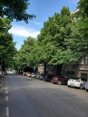 a street with cars parked on the side of the road at Palma studio in Belgrade