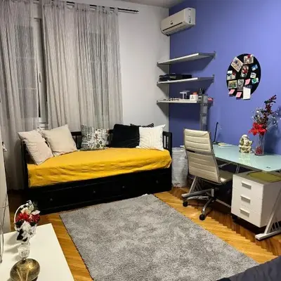 Palma studio