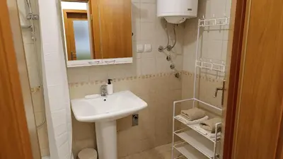 a small bathroom with a sink and a shower at Apartman Anja in Velika Granice