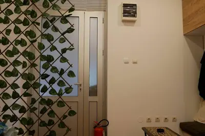 a door in a room with a plant on the wall at Cozy place in Belgrade