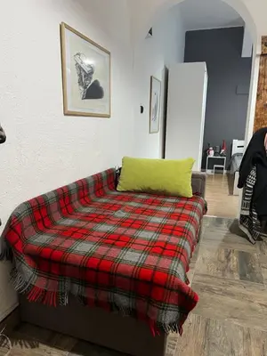 a bedroom with a bed with a plaid blanket at Old town Belgrade apartment in Belgrade