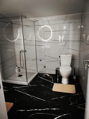 a bathroom with a toilet and a glass shower at Imanje in Arandjelovac