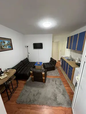 a living room with a couch and a table at Apartment Dida Ledine in Belgrade