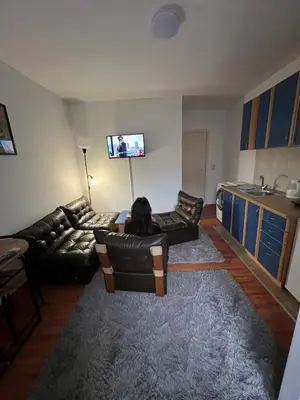 a person sitting in a living room watching a tv at Apartment Dida Ledine in Belgrade