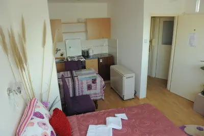 a small room with a kitchen and a living room at Apartment Daca Stan na dan in Belgrade