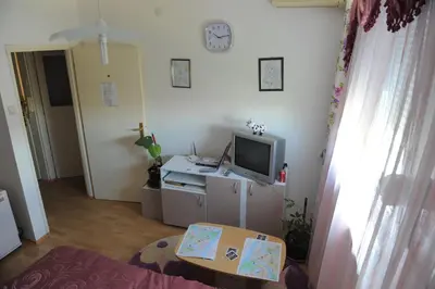 a living room with a tv and a table at Apartment Daca Stan na dan in Belgrade