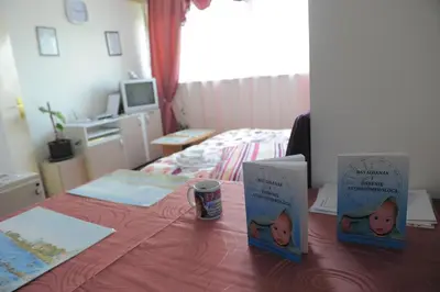 a room with a bed and two books on a table at Apartment Daca Stan na dan in Belgrade