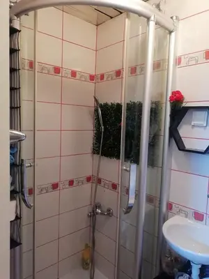 a shower in a bathroom with a sink at Small low cost studio in Belgrade